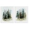 Stupell Industries Pine Trees Forest Grove 2 pc Canvas Wall Art Set Design by Victoria Barnes